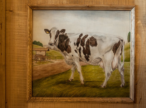 Painting cow